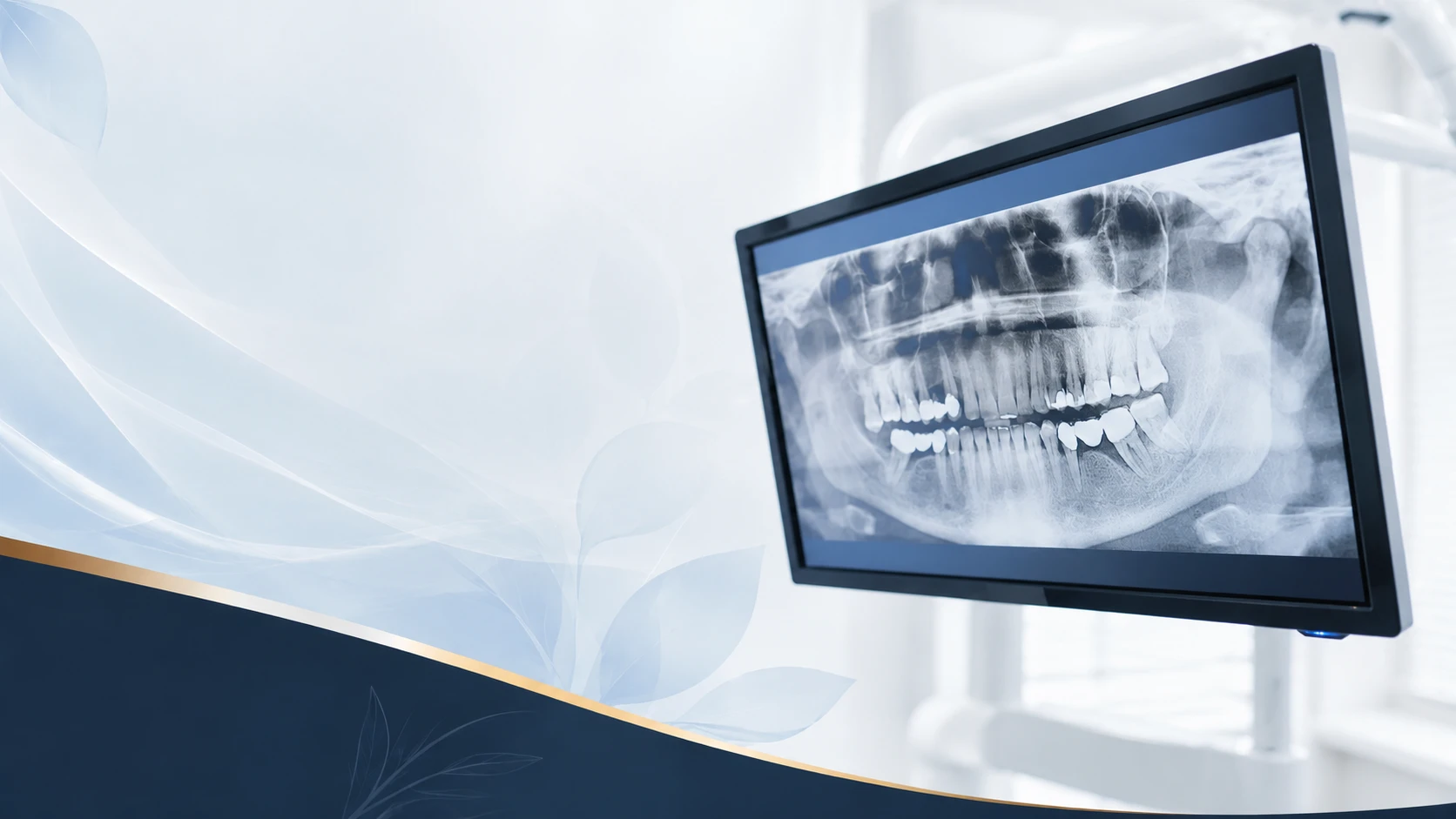 3D X-Rays